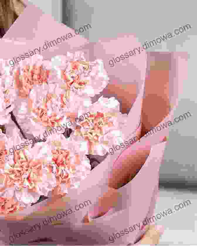 A Bouquet Of Pink Carnations With Ruffled Petals Birthday Flowers And Flower Language November Illustration Collection: Birthday Flower Drawn Without Draft In About 5 Minutes