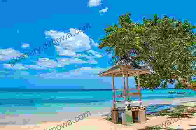 A Photo Of A Jamaican Beach Home Sweet Jamaica: December 2024 (Independence Jamaica 50)