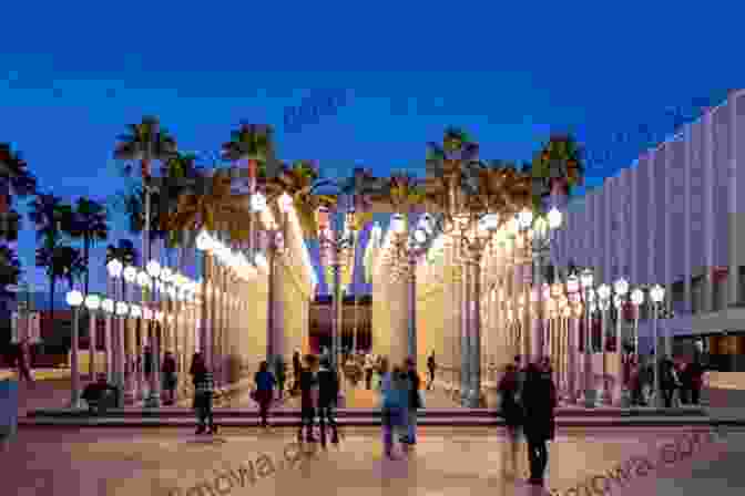 Los Angeles County Museum Of Art: A Tapestry Of Artistic Treasures Top 30 Family Activities Los Angeles (USA 2)