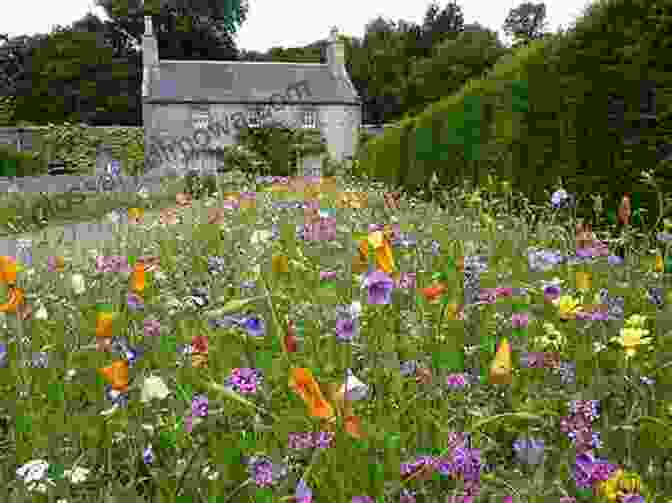 Wild Meadow In The Cotswolds Wild Garden Weekends: Explore The Secret Gardens Wild Meadows And Kitchen Garden Cafes Of Britain