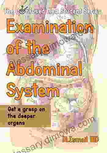 Examination Of The Abdominal System: Get A Grasp On The Deeper Organs