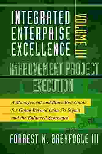 Integrated Enterprise Excellence Vol III Improvement Project Execution: A Management And Black Belt Guide For Going Beyond Lean Six Sigma And The Balanced Scorecard