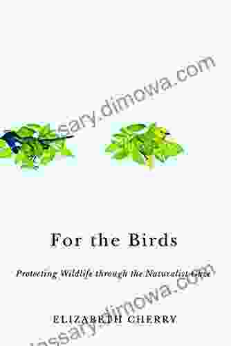 For The Birds: Protecting Wildlife Through The Naturalist Gaze (Nature Society And Culture)