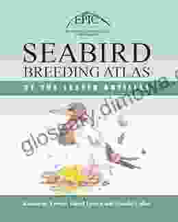 Seabird Breeding Atlas Of The Lesser Antilles