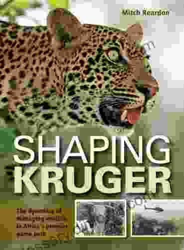 Shaping Kruger Mitch Reardon