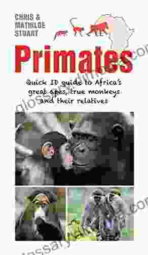 Primates: Quick ID Guide To Africa S Great Apes True Monkeys And Their Relatives